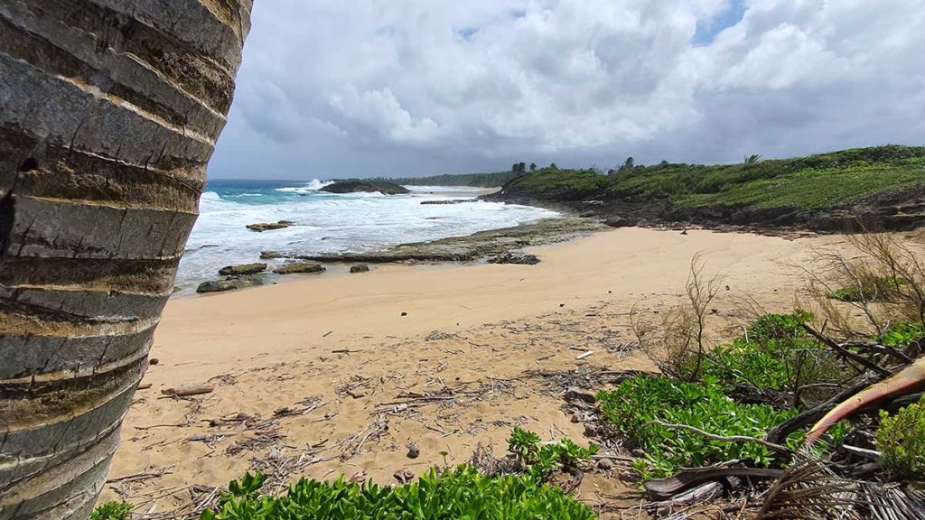 La Poza De Las Mujeres en Manati - Go Puerto Rico