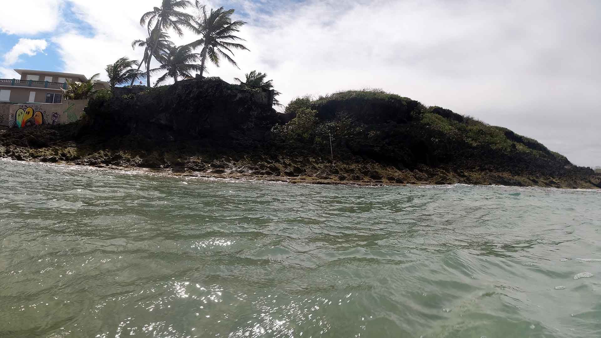 La Poza De Las Mujeres Manati A True Hidden Treasure Go Puerto Rico 0525