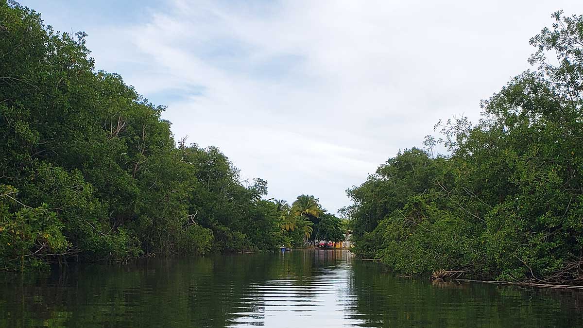 La Paseadora Del Río Espíritu Santo