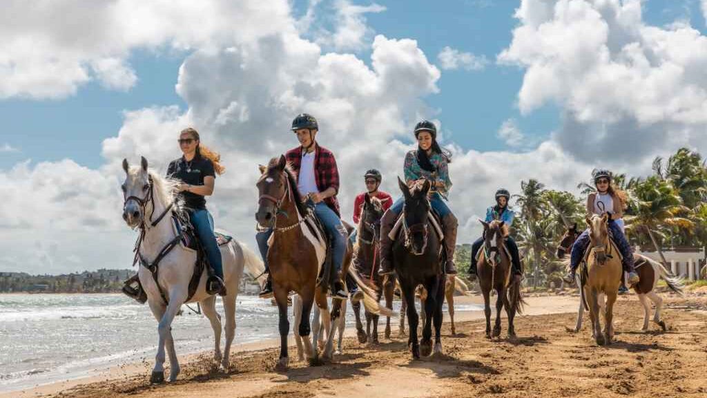 horse tour at carabali